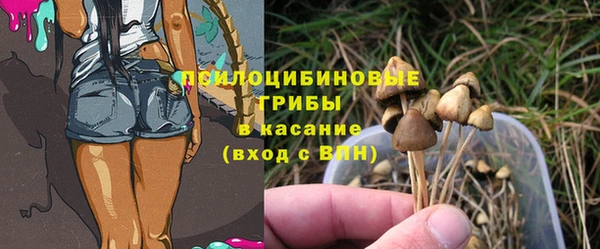 мяу мяу мука Аркадак
