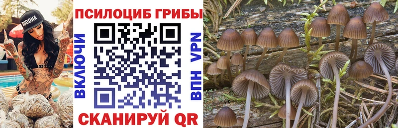 купить наркотик  Курганинск  Галлюциногенные грибы прущие грибы 