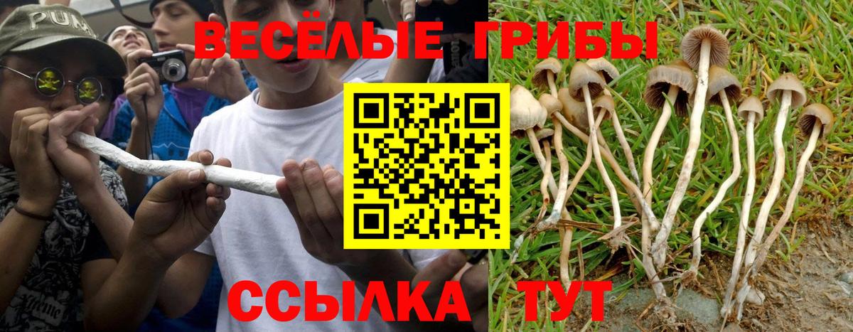 Псилоцибиновые грибы ЛСД Курганинск